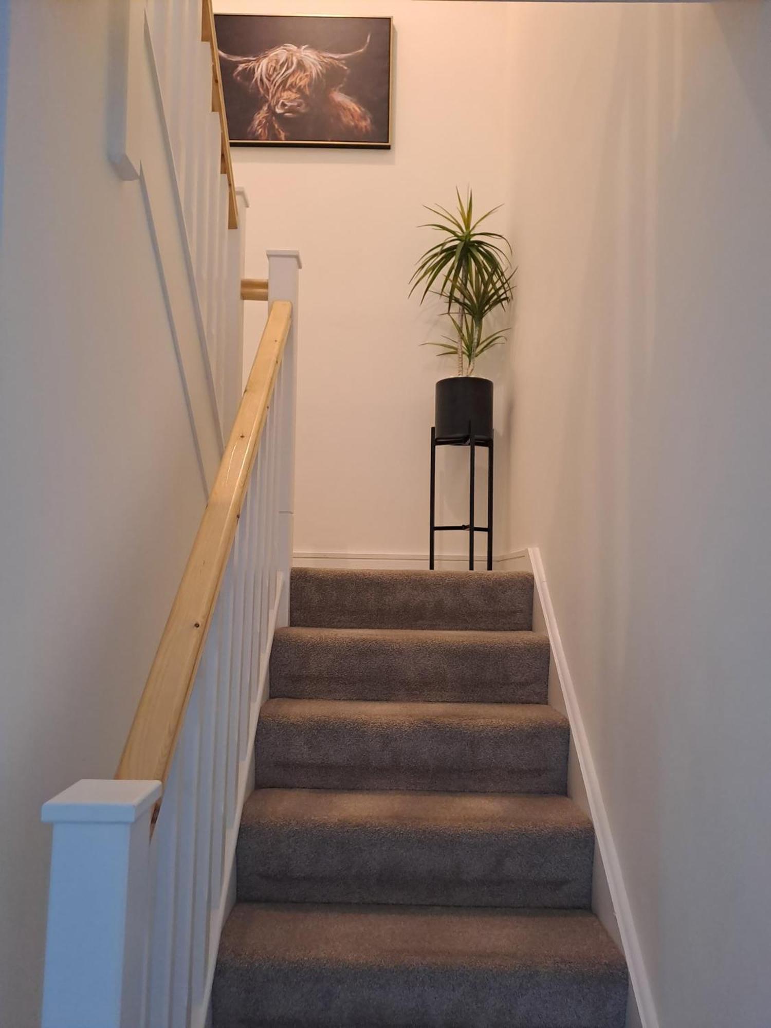 Cozy Bedroom In Lucan, Séjour chez l'habitant Dublin